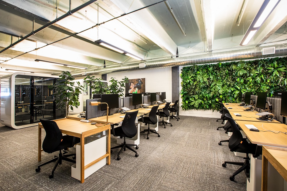 Planten op het kantoor voor een groene, frisse omgeving